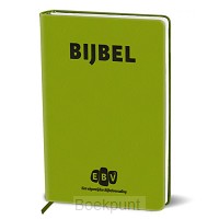 EBV24 - Luxe groen bijbel