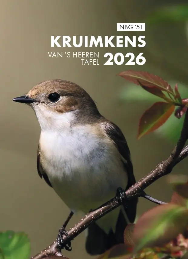 Kruimkens van 's Heeren tafel 2026