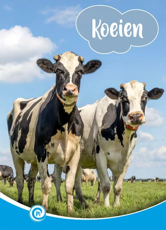 Koeien