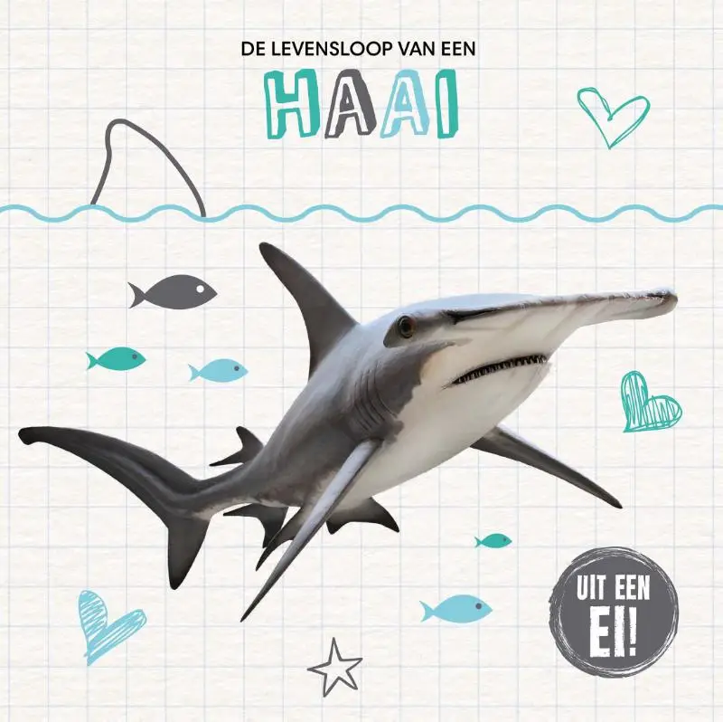 De levensloop van een haai