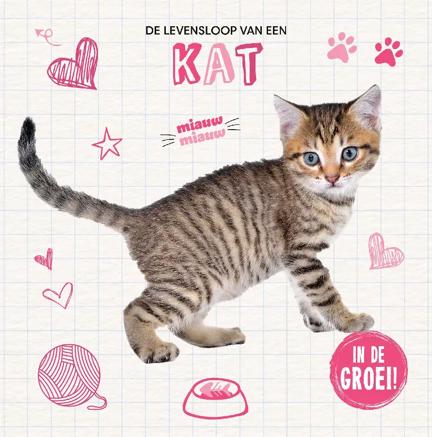 Kat