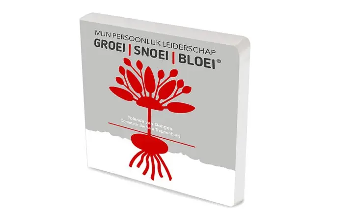 Mijn persoonlijk leiderschap