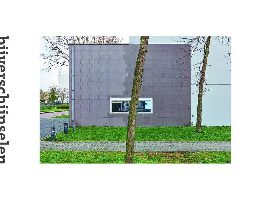 Bijverschijnselen