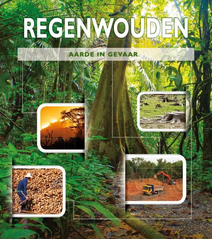 Regenwouden