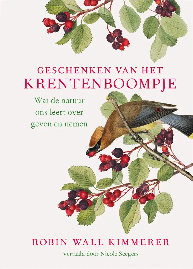 Geschenken van het krentenboompje