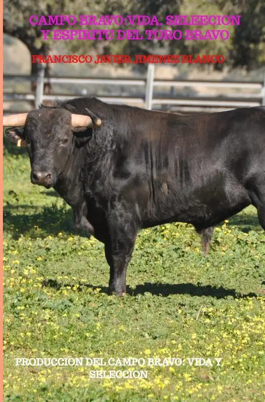 CAMPO BRAVO:VIDA, SELEECION Y ESPIRITU DEL TORO BRAVO