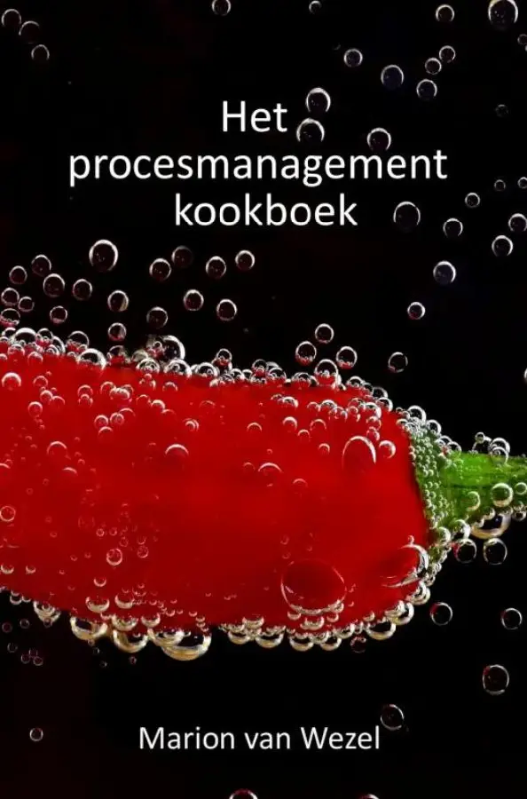 Het procesmanagement kookboek