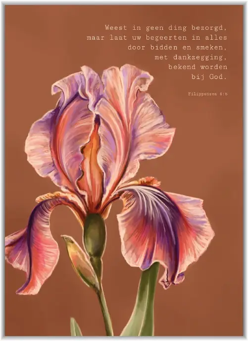 Weest in geen ding bezorgd