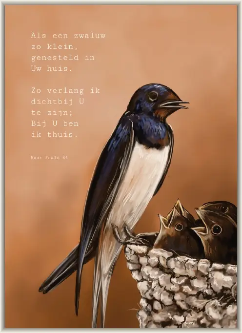 Mijn genade is u genoeg