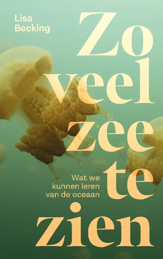 Zo veel zee te zien