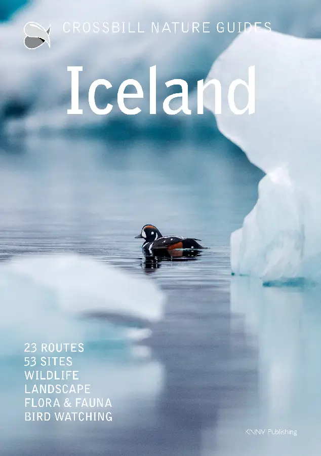 Crossbill Nature Guide Iceland