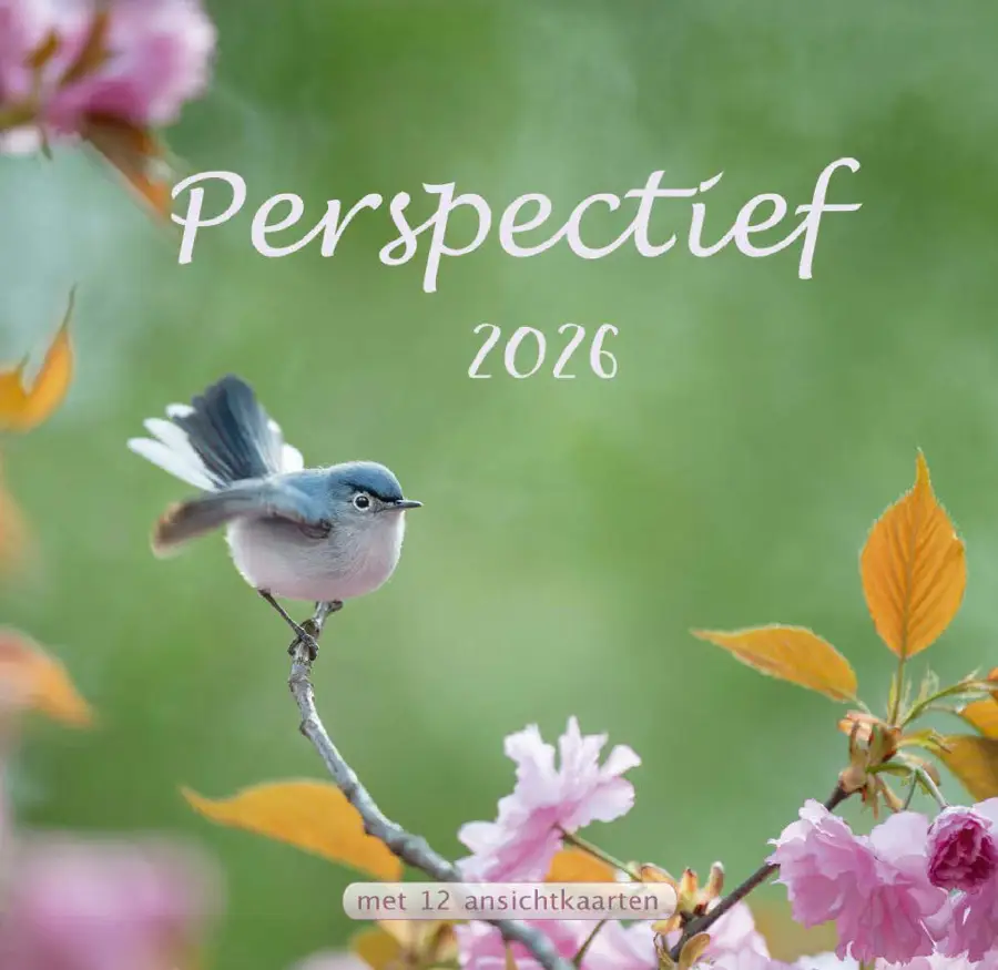 Kalender 2026 perspectief nbv21