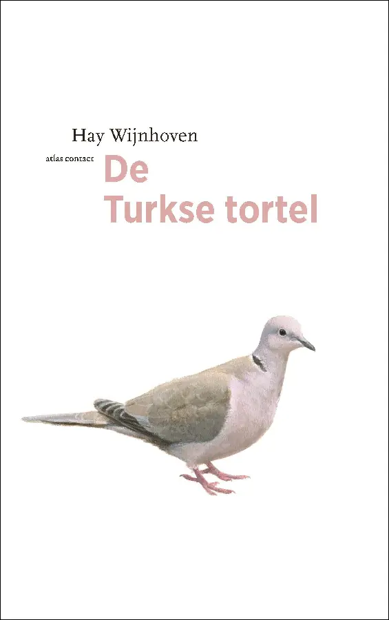 De Turkse tortel