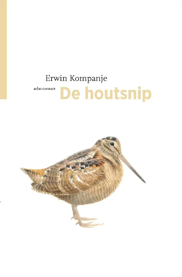 De houtsnip
