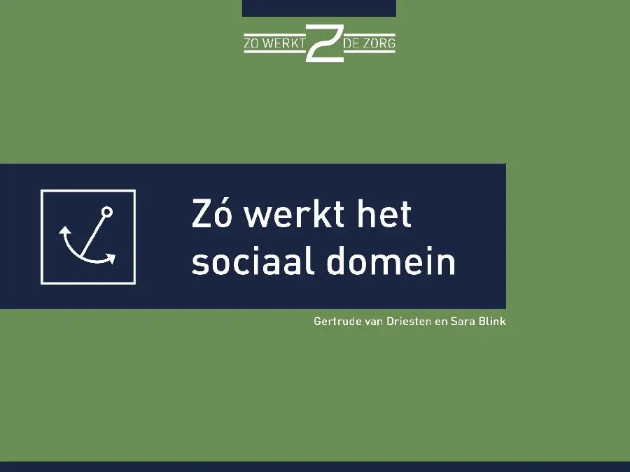 Zó werkt het sociaal domein