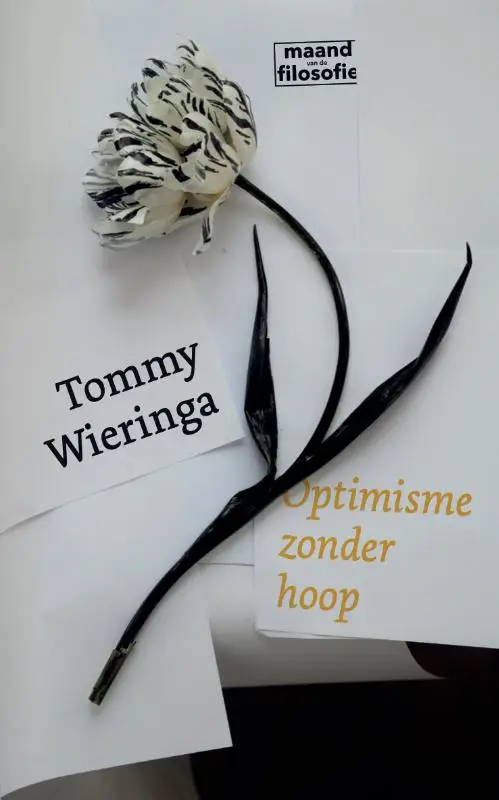 Optimisme zonder hoop