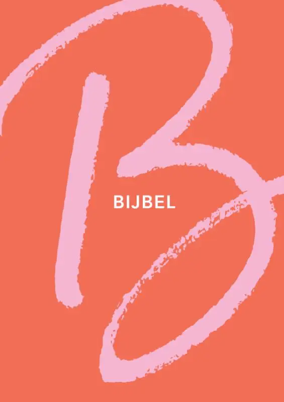 NBV21 Tienerbijbel oranje