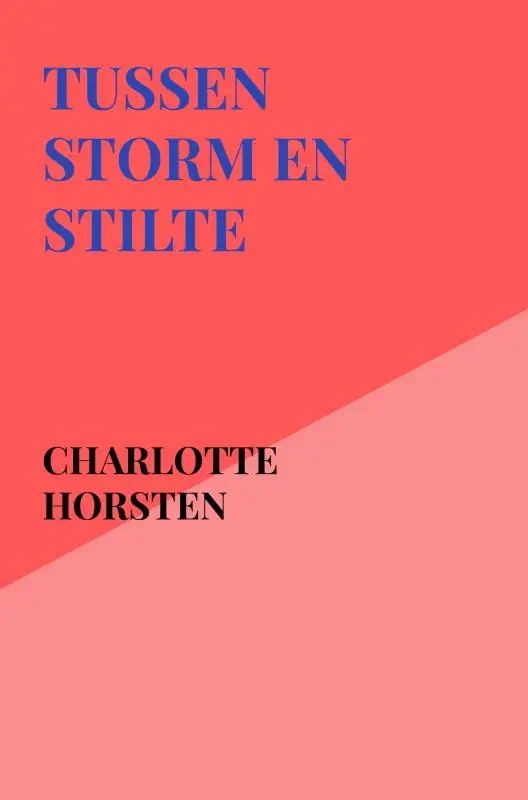 Tussen Storm en Stilte